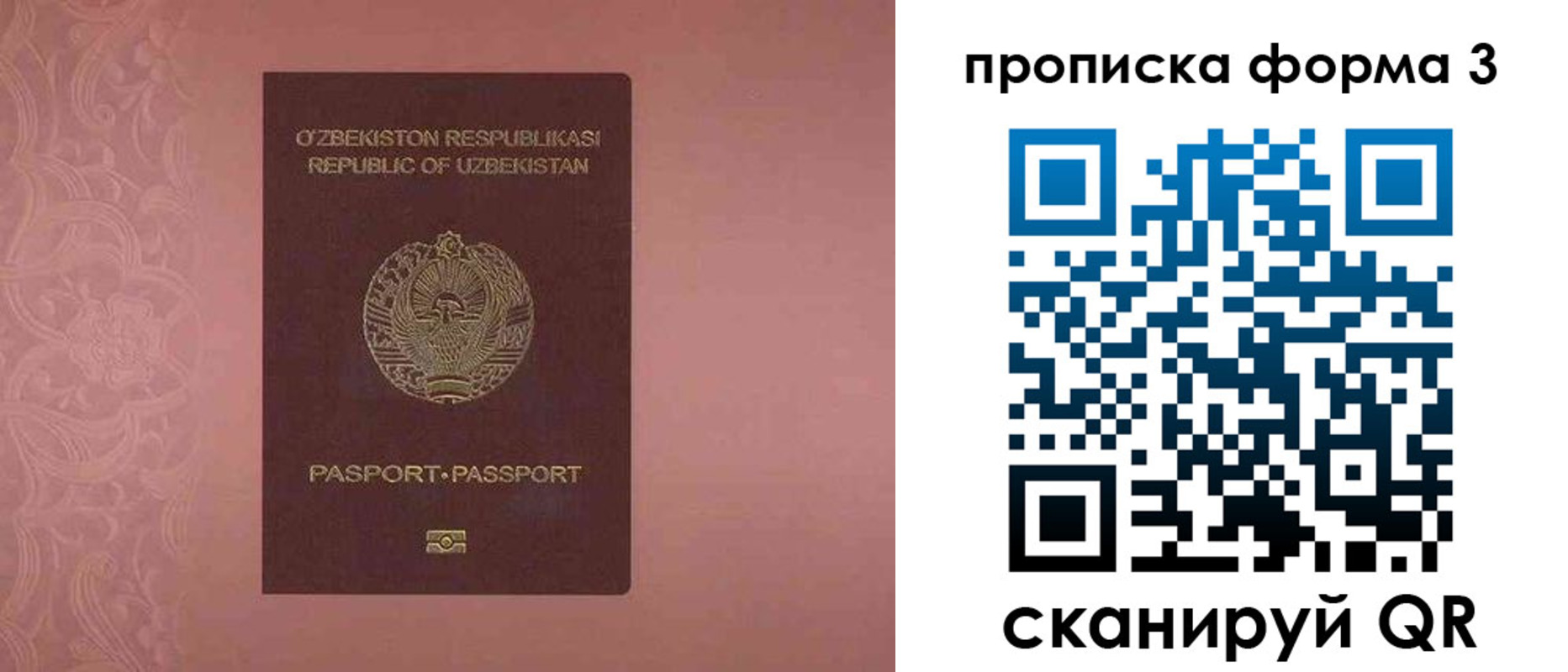 регистрация в Оренбургской области